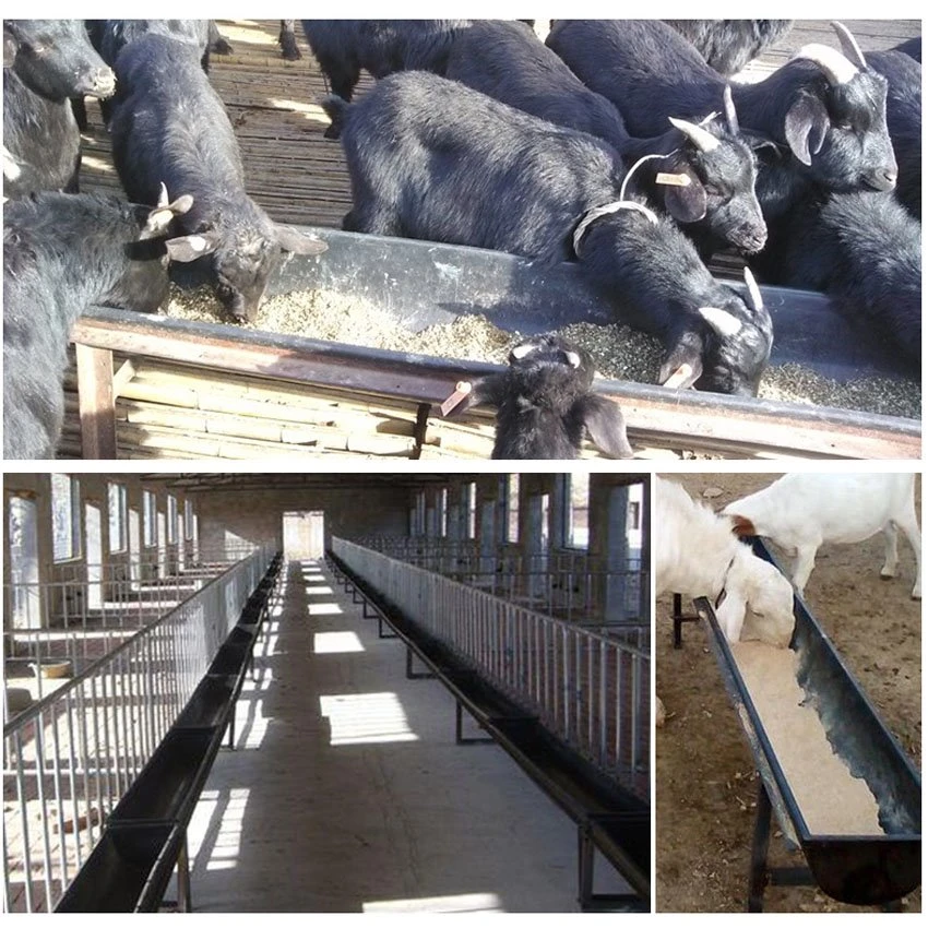 Application of metal feed trough for cattle Application of metal feed trough for cattle