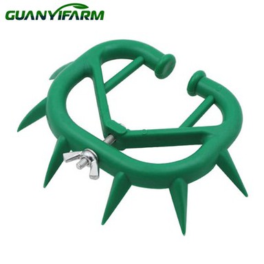 गाय की नाक का कांटा