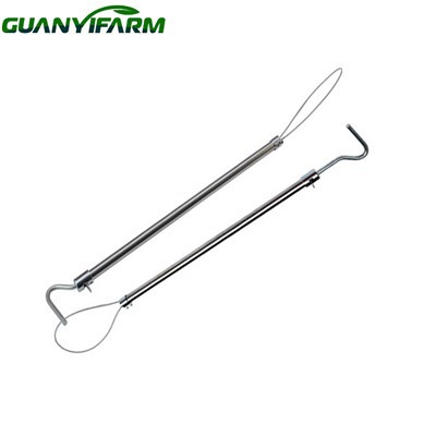 सुअर पकड़ने का जाल