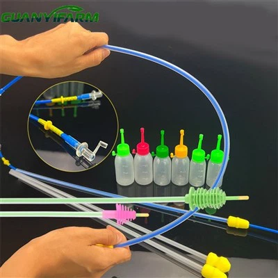 वीर्य कैथेटर बोयें
