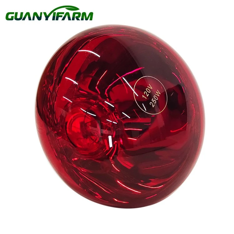 Brooder Bulb For Chicks