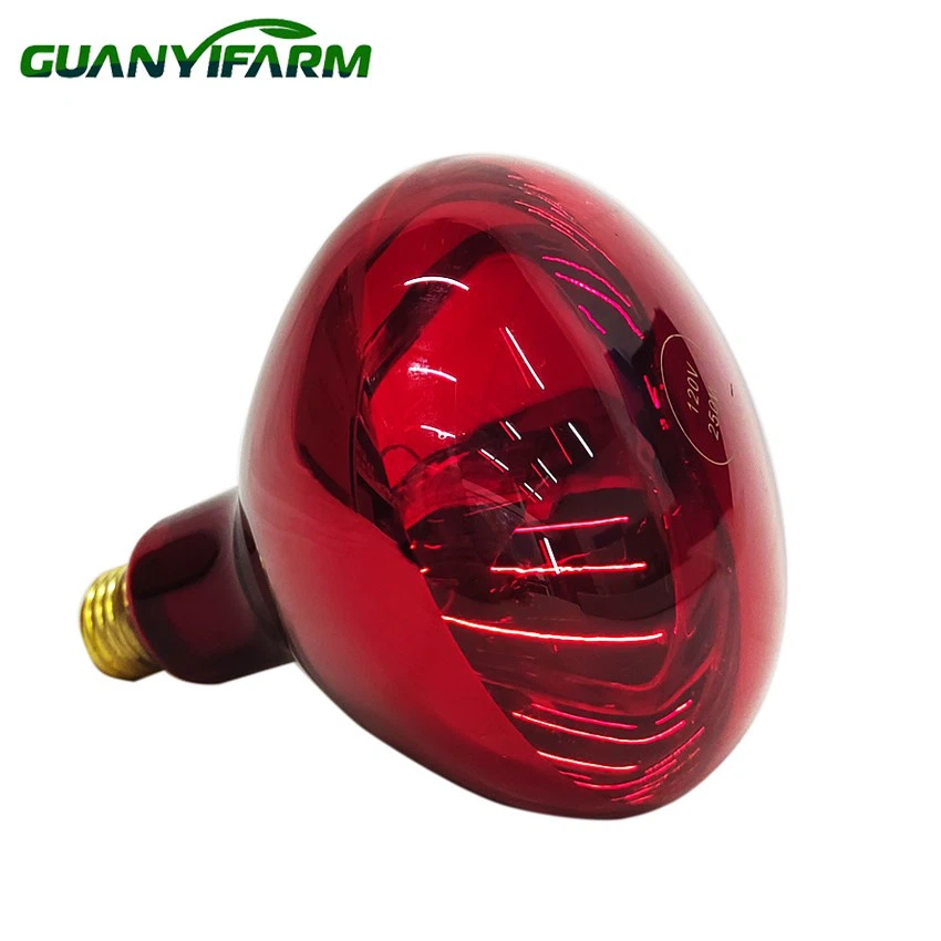 details of r40 infrared heat lamp details of r40 infrared heat lamp