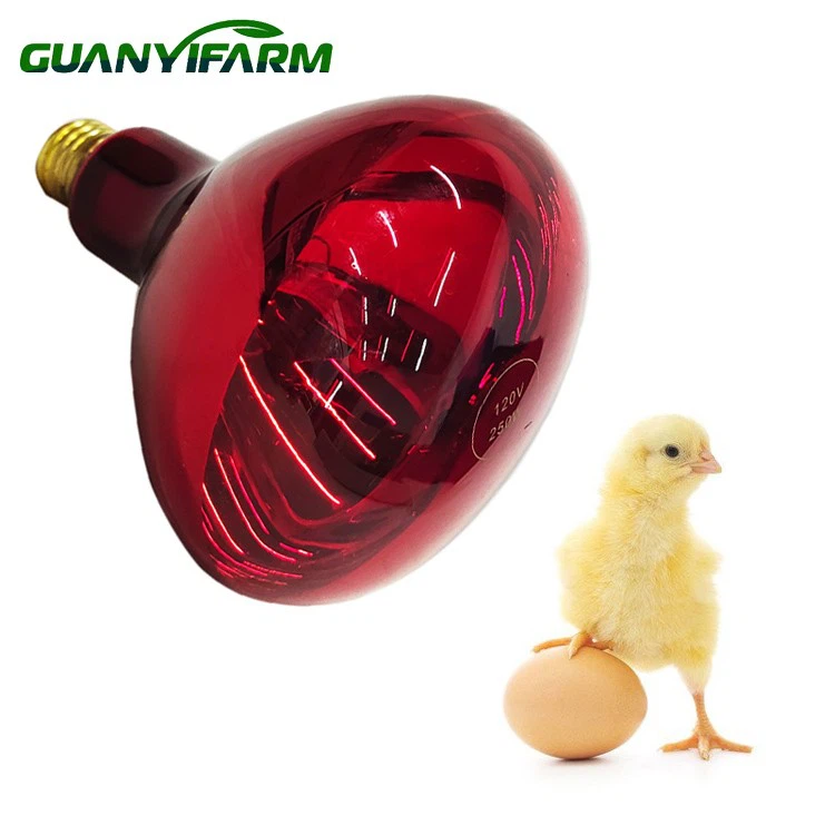 R40 इन्फ्रारेड हीट लैंप